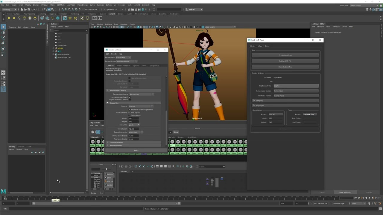 Render Setting Custom Tool