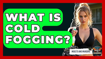 What Is Cold Fogging? - Insects and Invaders