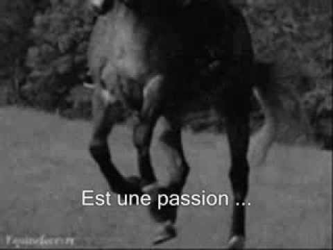 parait-il-que-l'equitation-n'est-pas-un-sport-...-?