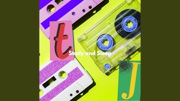 Elegant Ambiance for Wise Options