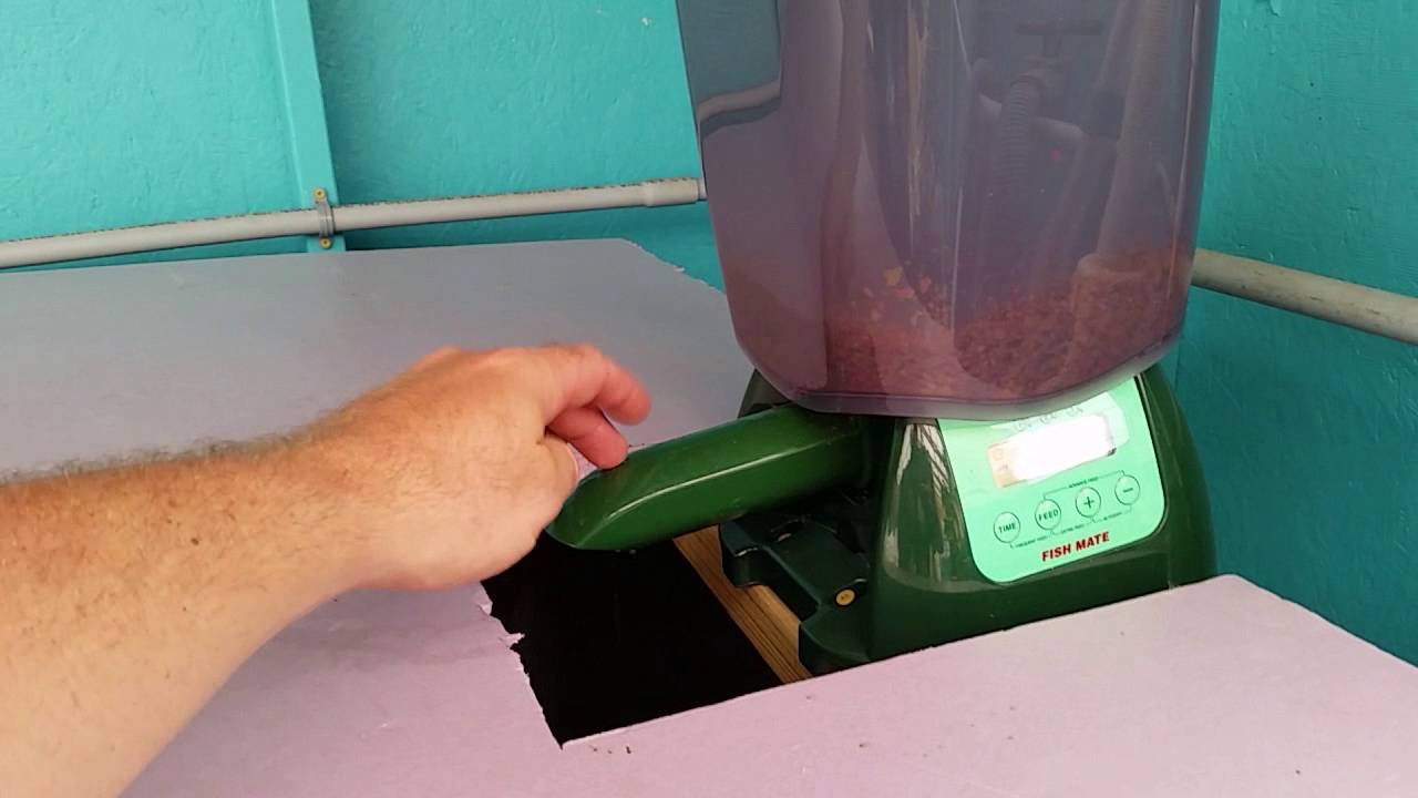 p7000 fish feeder