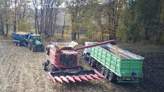 видео: ❗️ДОРОГИ РОЗМИЛО❗️🌽 ВОЗИМО ПЕРЕГРУЗЧИКОМ❗️ЖНИВА КУКУРУДЗИ ДКС 4178✅ Case 2388 John Deere 7230R картинка: ❗️ДОРОГИ РОЗМИЛО❗️🌽 ВОЗИМО ПЕРЕГРУЗЧИКОМ❗️ЖНИВА КУКУРУДЗИ ДКС 4178✅ Case 2388 John Deere 7230R