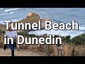 New Zealand, Tunnel Beach in Dunedin (황정희TV)