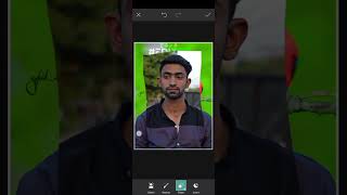 Picart Cb Background Editing
