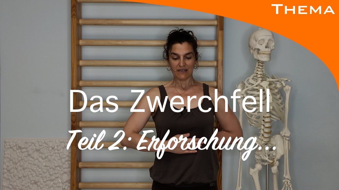 Welche Atemtechnik ist die Richtige? Wir fragen den Experten: das ZWERCHFELL - Teil 2/Übung