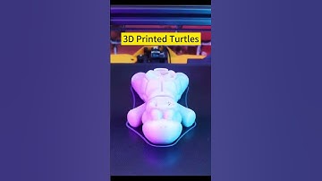 3D Printed Turtles Time Lapse Video! #3d #3dprinting #diy #sunlu #timelapse