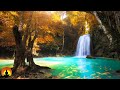 🔴 Study Music 24/7, Focus, Meditation, Concentration Music, Relaxing Music, Calm Music, Yoga, Study