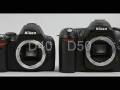 Nikon d40 vs d50