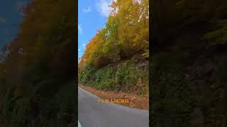 Ride, Foliage, Walk in Pescocostanzo with my Model Y Performance Juniper Part 02