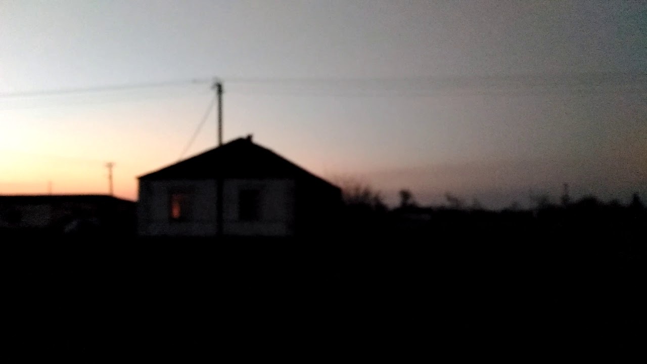 крик сыча в сумерках