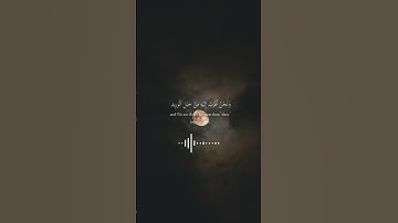 القرآن الكريم بصوت محمد صديق المنشاوي