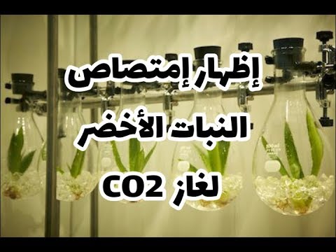 الدرس 08: ضرورة غاز ثاني أكسيد الكربون للنبات الأخضر صفحة 40 علوم طبيعية سنة أولى متوسط