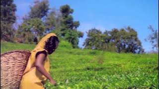 Yanungamya by Mauwa Ryione MP4
