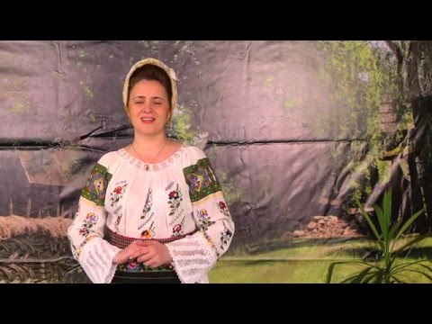Camelia Balmau - Lasa mi Doamne zile multe Nou 2016 █▬█ █ ▀█▀