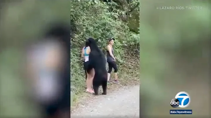 Woman takes selfie as bear sniffs her hair on hiking trail in Mexico - DayDayNews
