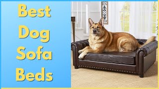 Top 5 Best Dog Sofa Beds for 2023