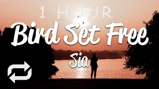 [1 HOUR 🕐 ] Sia - Bird Set Free (Lyrics)