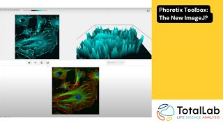 Phoretix Toolbox Demo: Precision Image Quantification for Scientists | Advanced Analysis Software