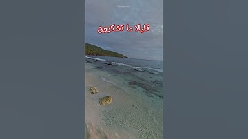 القرآن الكريم القارئ ماهر المعيقلي سورة المؤمنون
