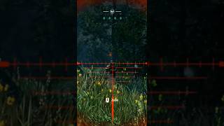Sharpshooter Hostage Rescue #farcry4 #gaming #gameplay #sicklycatman