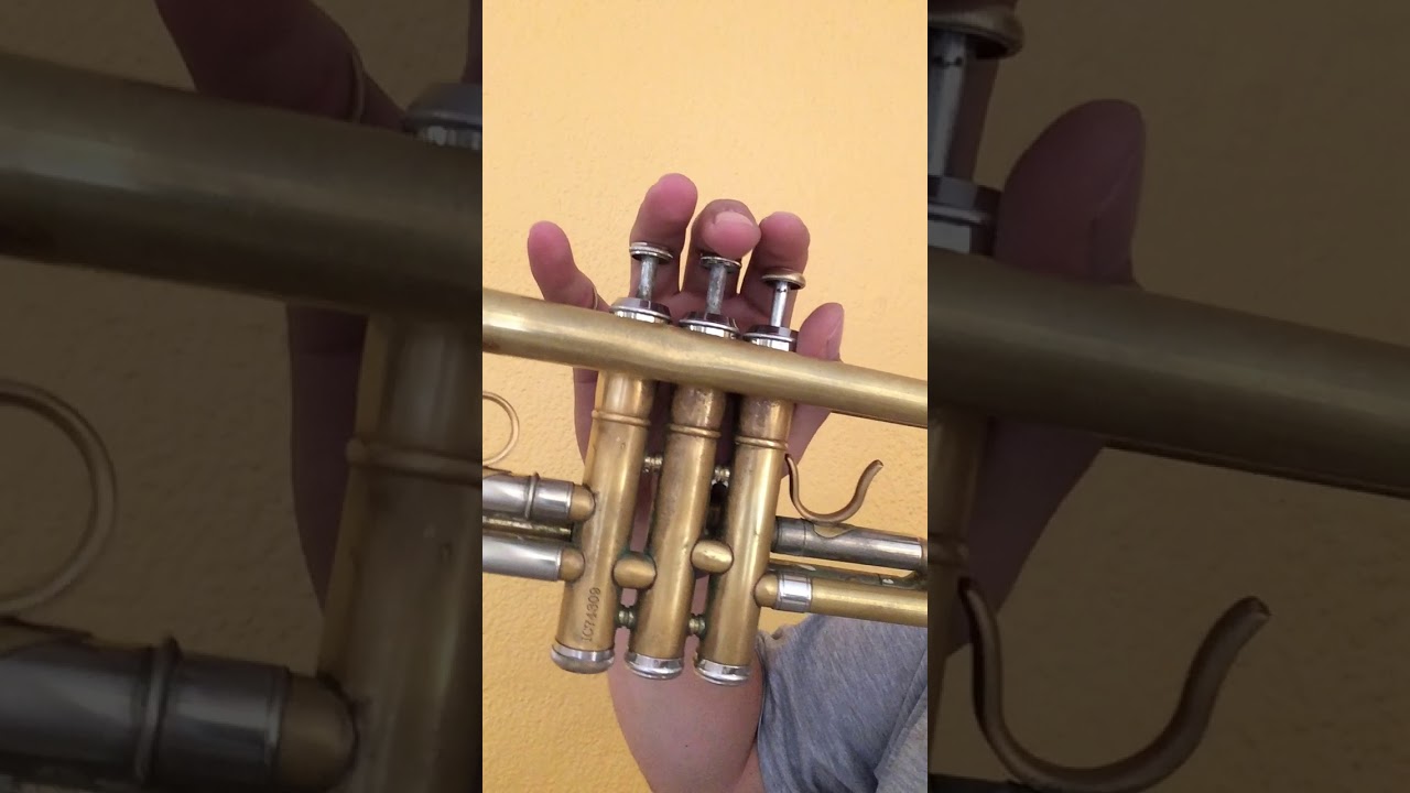 LA BIKINA - TROMPETA