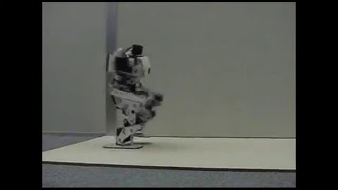 ヒューマノイドの動歩行 Dynamic Walk of a Humanoid Robot