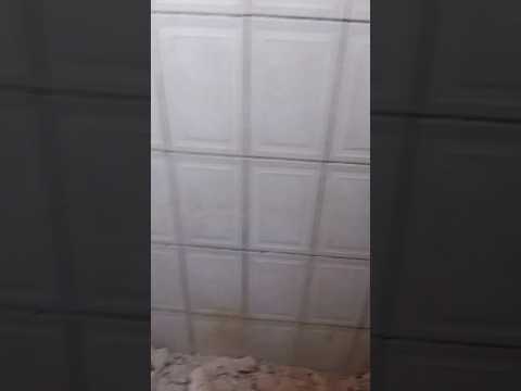 Parede foi derrubada e a cerâmica continua inteira.