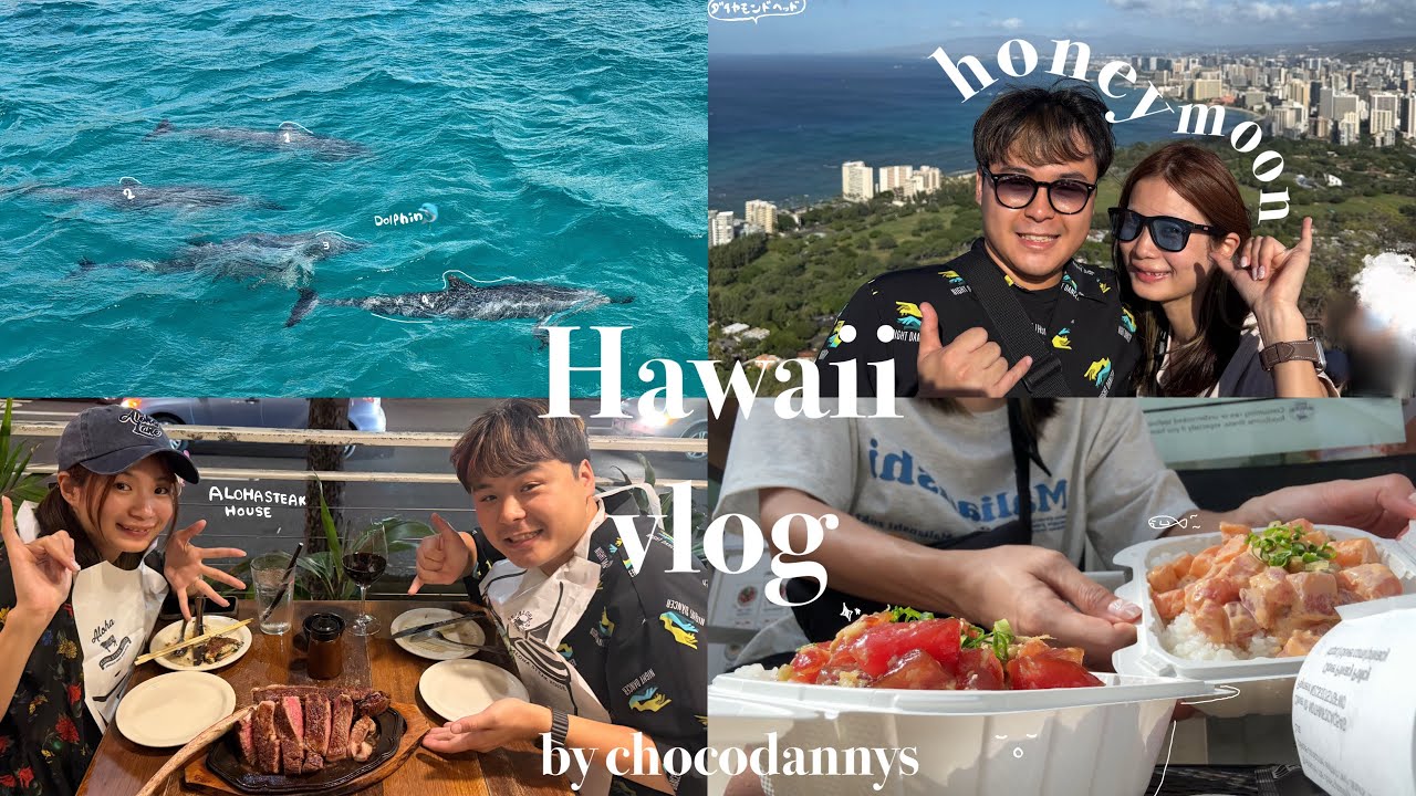 vlog I Hawaii travel l part3🐬⛰️honeymoon🪽 JTB 6泊８日　4.5daysの様子☺︎ #ハワイ #hawaii #新婚旅行#おすすめ #社会人 #20代#日本