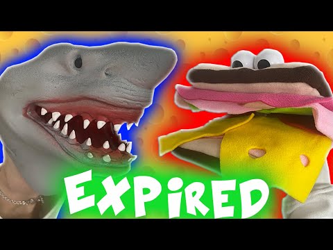 SHARK PUPPET EATS