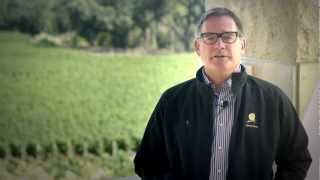 Opus One 2009 Growing Season