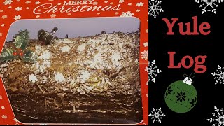 Festive Yule log :) Easy Christmas dessert recipe