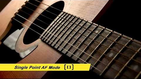 Nikon D800 App Preview for Apple and Android