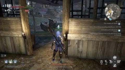 Bless Unleashed - PKs attempting to kill me on Safe Zone