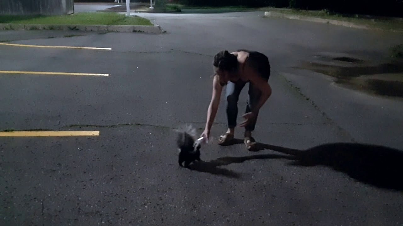Alexis is a hero! Saving a baby skunk!