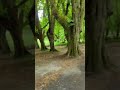 Heaven on a Bicycle. Killarney National Park. Ireland.