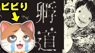 【孵道】絶対に振り返ってはいけない怖すぎる道を帰るビビり猫