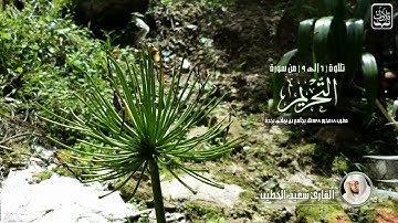 تلاوات | من سورة التحريم - القارئ سعيد الخطيب ١٤٣٨ هـ