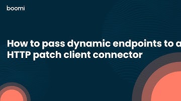 How to pass dynamic endpoints to a HTTP patch client connector