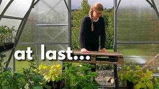 Tomatoes, Rain & Resetting the Greenhouse for Summer | Gardening in Ireland