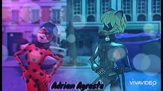Ladybug Night Changes