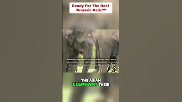 Can We Really Bring Back Extinct Animals With Science?