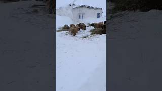 Işin Görünmeyen Kısmı