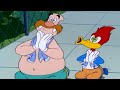 Woody and Wally work as a team | Woody Woodpecker