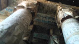 丹德拉神殿@埃及