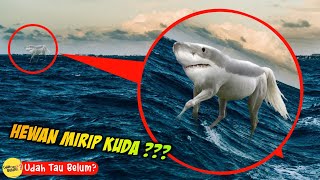 7 penemuan hewan paling aneh di dunia