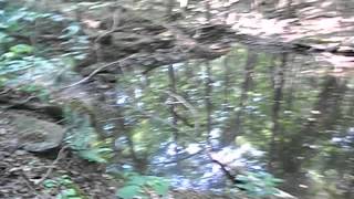 104 0617
