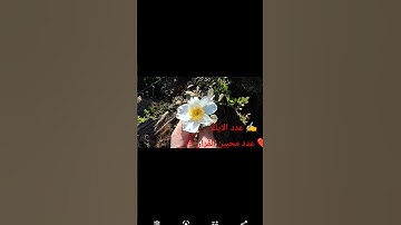#حالات_واتس #تلاوة_خاشعة #تلاوة_مؤثرة #حالات_واتساب #إسلام_صبحي