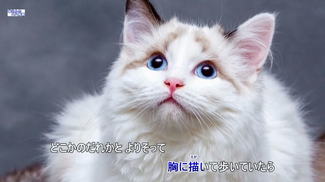 ミヨちゃん（歌用カラオケです） - YouTube