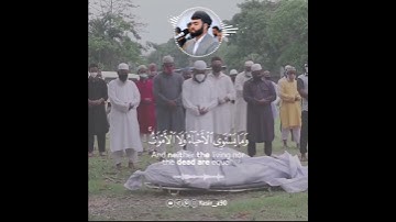 وما يستوي الأعمى والبصير ولا الظلمات ولا النور - تلاوة مؤثرة ـ  القارئ بيشةوا قادر الكردي
