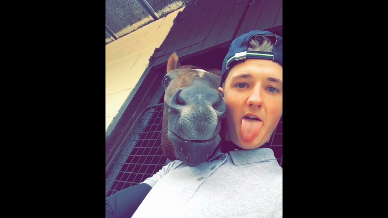 Horse S Hilarious Moment With Jockey ViralHog
